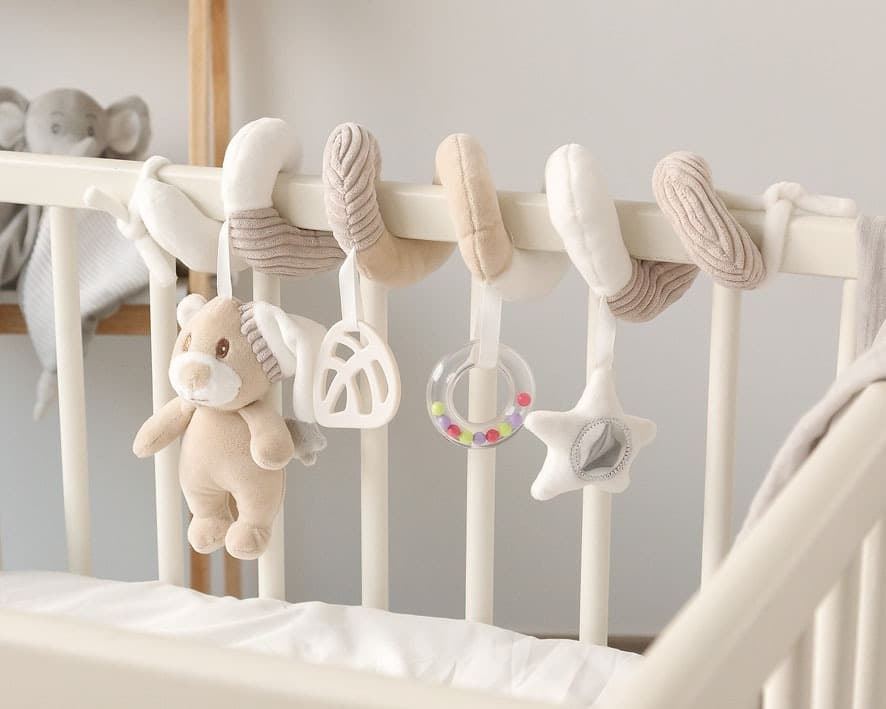 Espiral Oso - Imagen 2