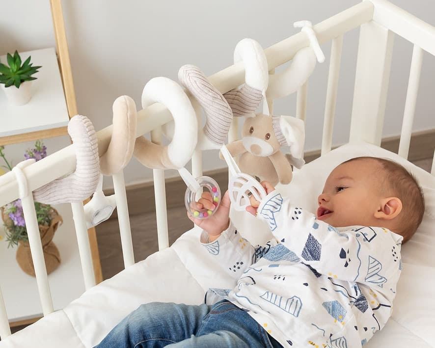 Espiral Oso - Imagen 3